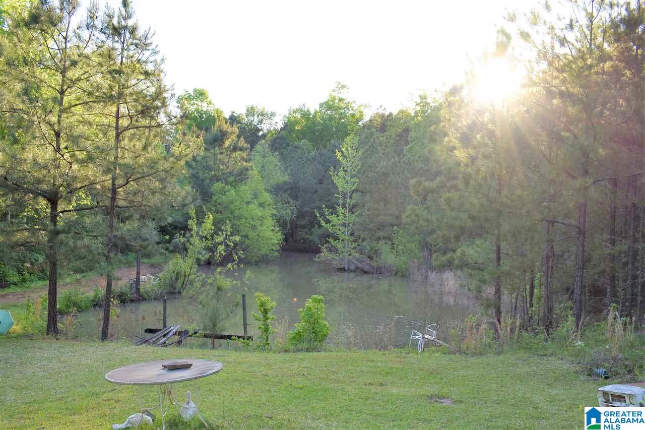 2877 Murphrees Valley Road Springville, AL 35146 - Photo 7 of 33 Gallery Image 7