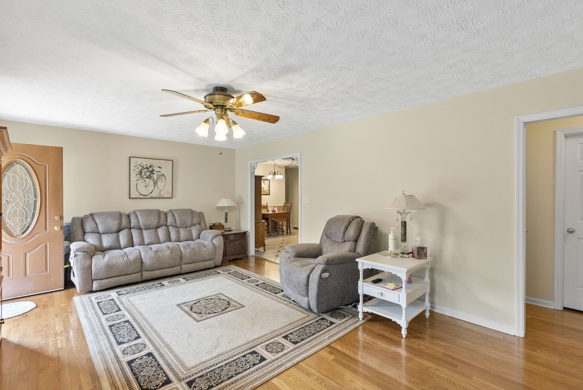 8320 Cedar Grove Road Cross Plains, TN 37049 - Photo 3 of 15 a living room with furniture and a rug
