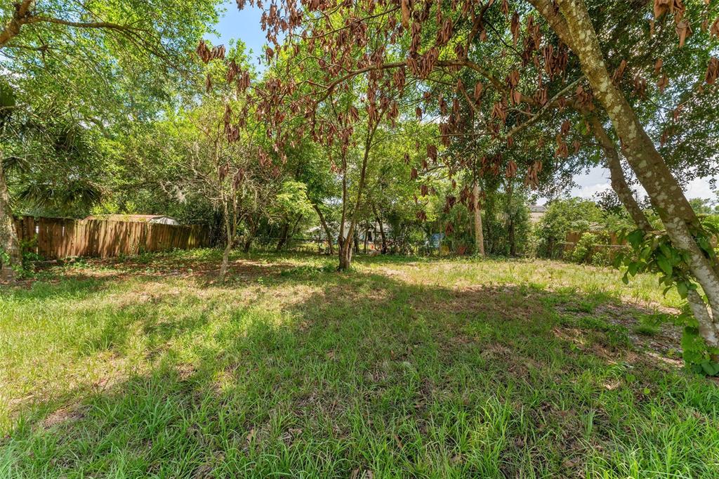 17 Palmira Road DeBary, FL 32713 - Photo 28 of 28 a view of backyard with green space