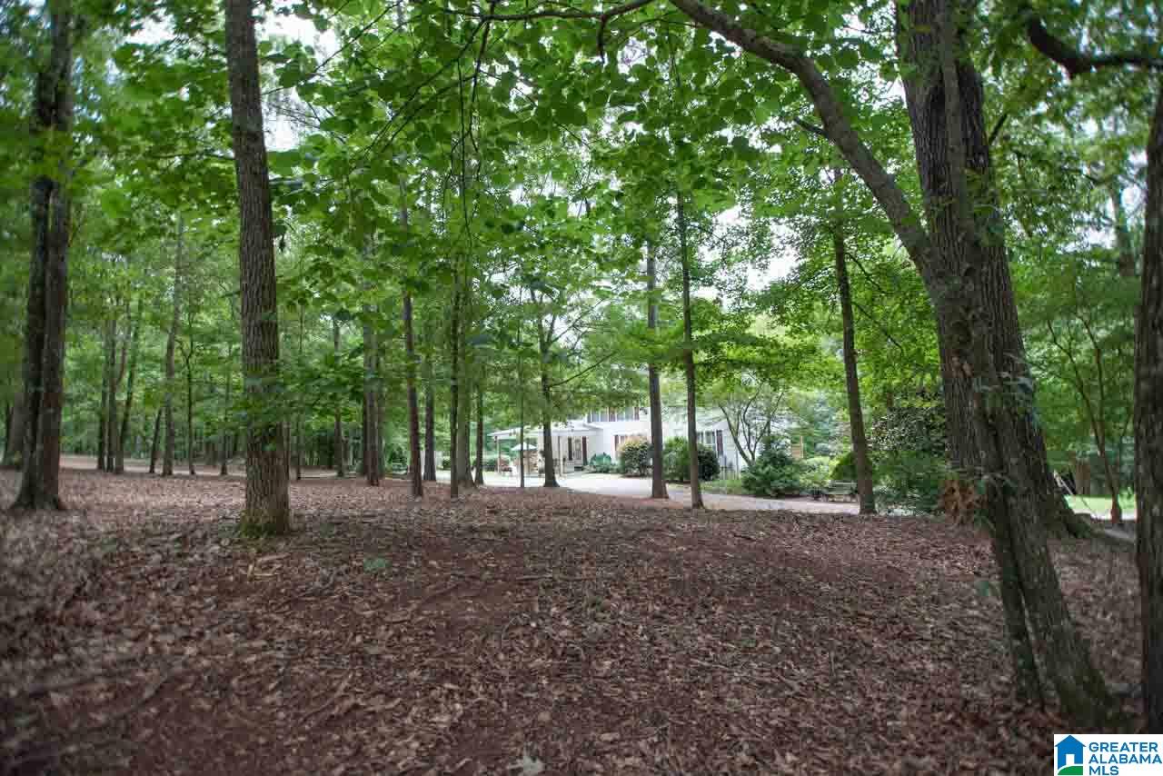 678 Sunset Road Pell City, AL 35128 - Photo 36 of 37