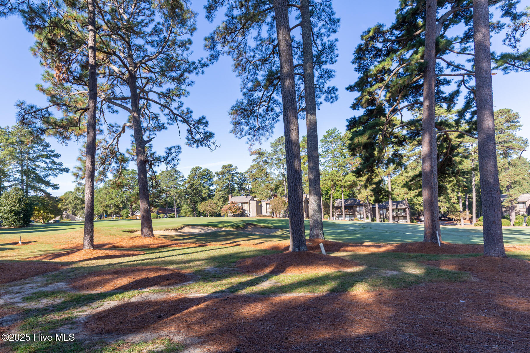 5 Pine Tree Road, Unit 120 Pinehurst, NC 28374 - Photo 17 of 21 back deck golf view2