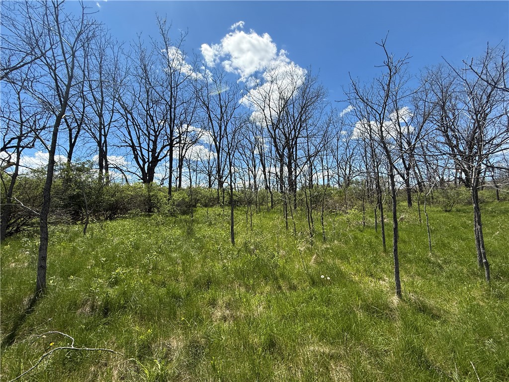 Tucker Road Ithaca, NY 14850 - Photo 23 of 38 Gallery Image 23