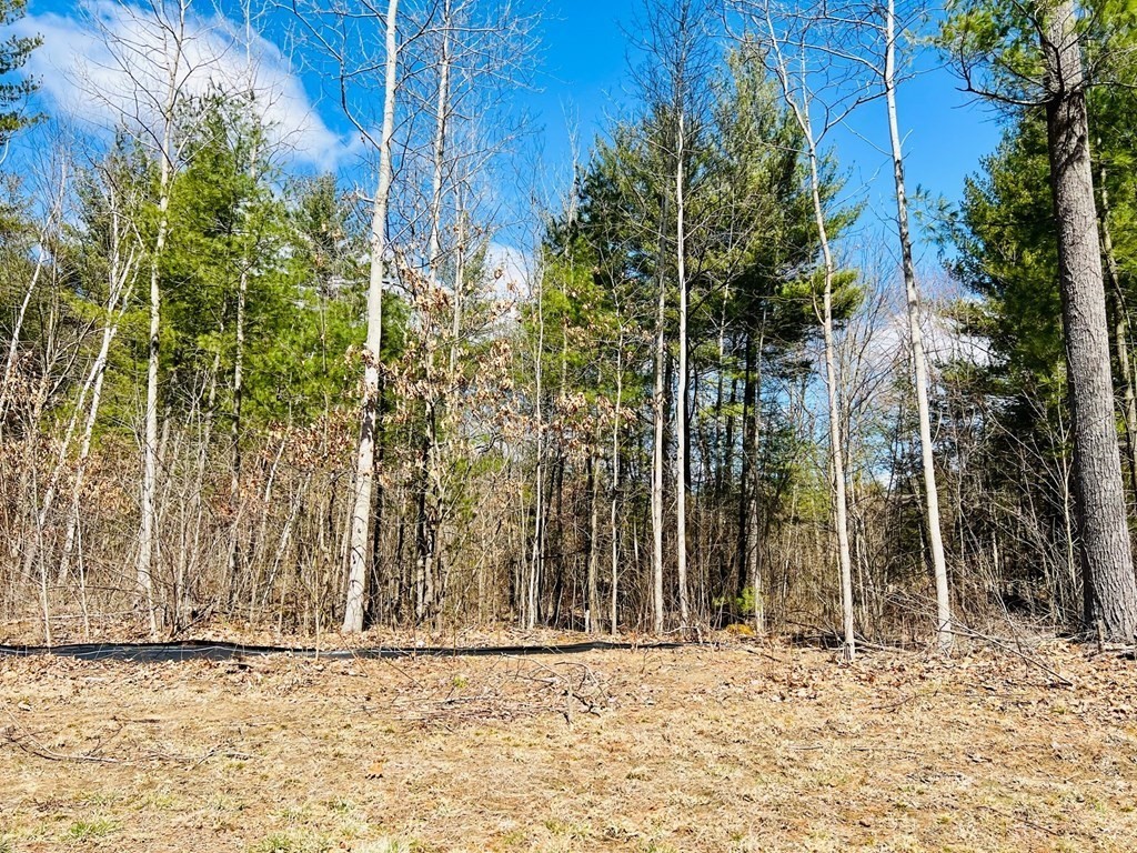 4 Colony Road Hadley, MA 01035 - Photo 1 of 3