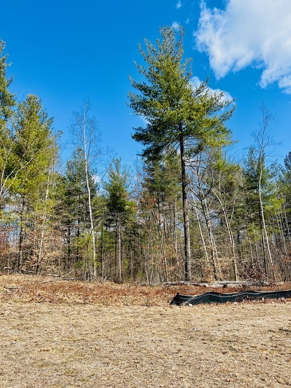 4 Colony Road Hadley, MA 01035 - Photo 2 of 3