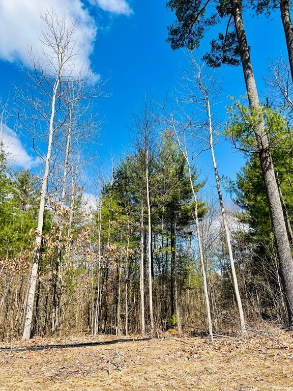 4 Colony Road Hadley, MA 01035 - Photo 3 of 3