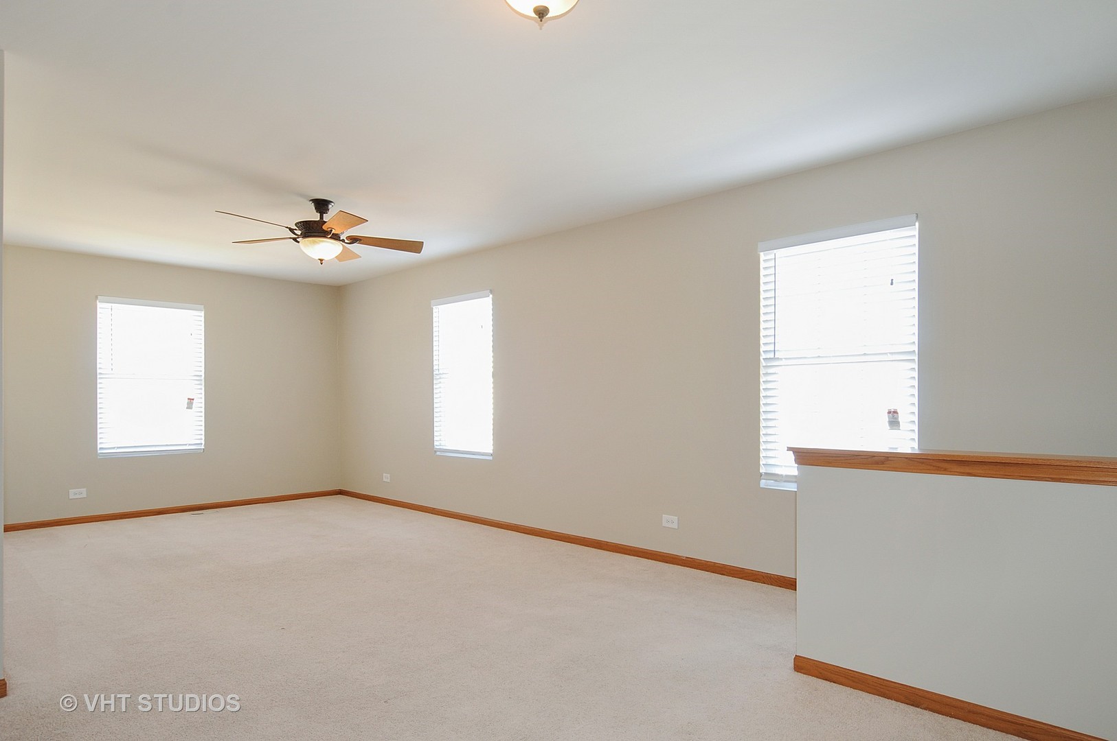 233 Springbrook Trail South Oswego, IL 60543 - Photo 6 of 10