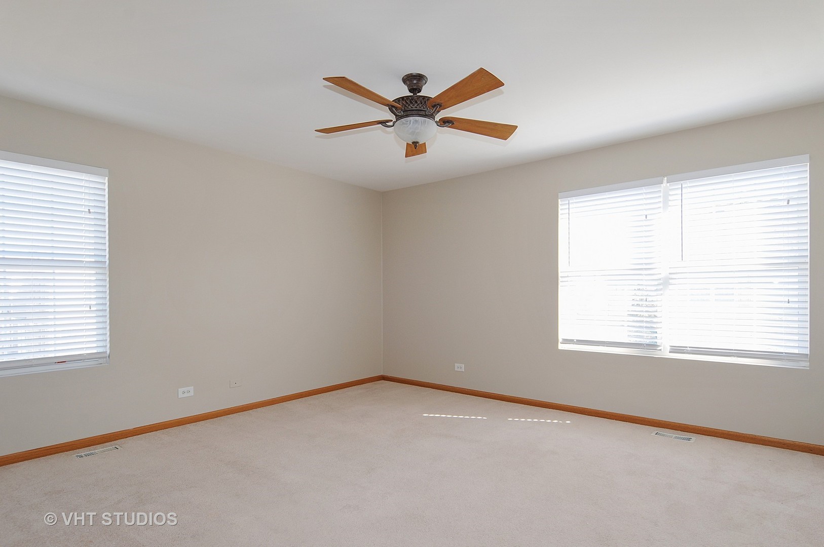 233 Springbrook Trail South Oswego, IL 60543 - Photo 7 of 10