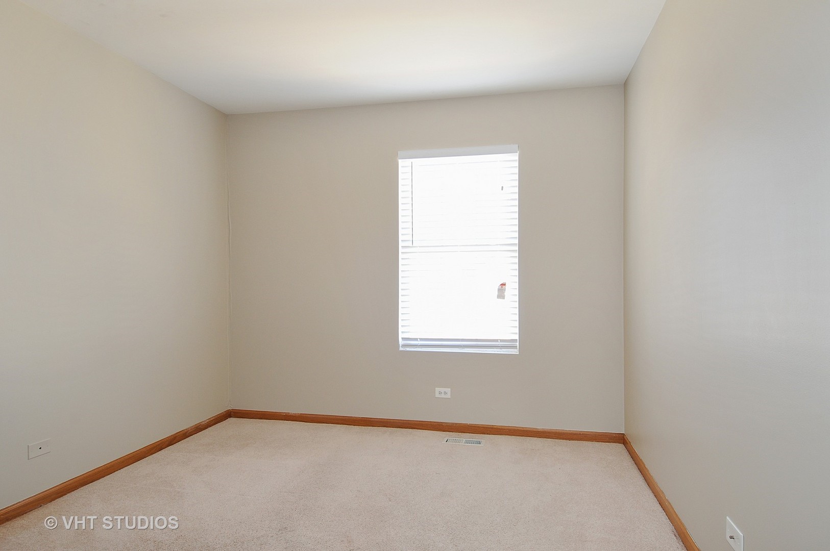 233 Springbrook Trail South Oswego, IL 60543 - Photo 9 of 10