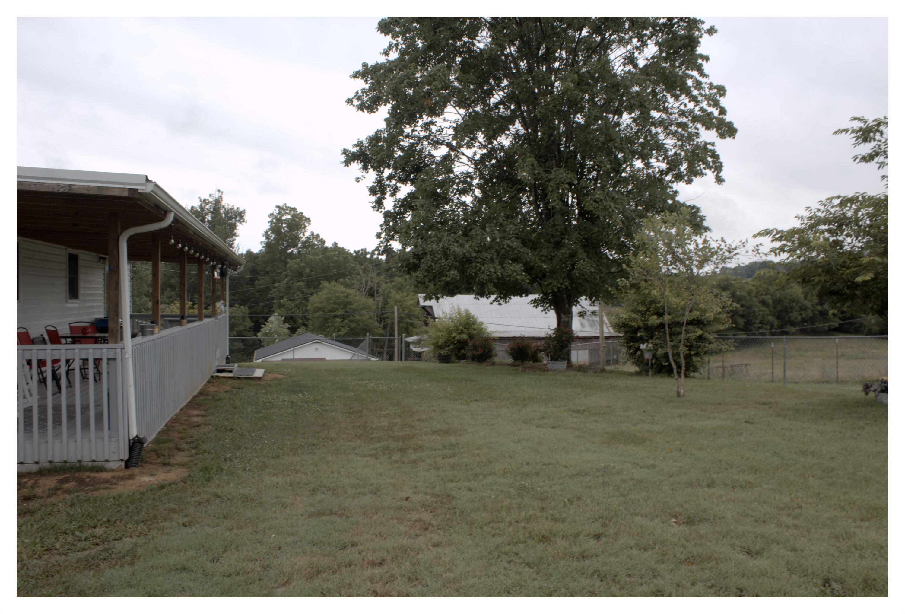 889 Opie Arnold Road Limestone, TN 37681 - Photo 3 of 48 back