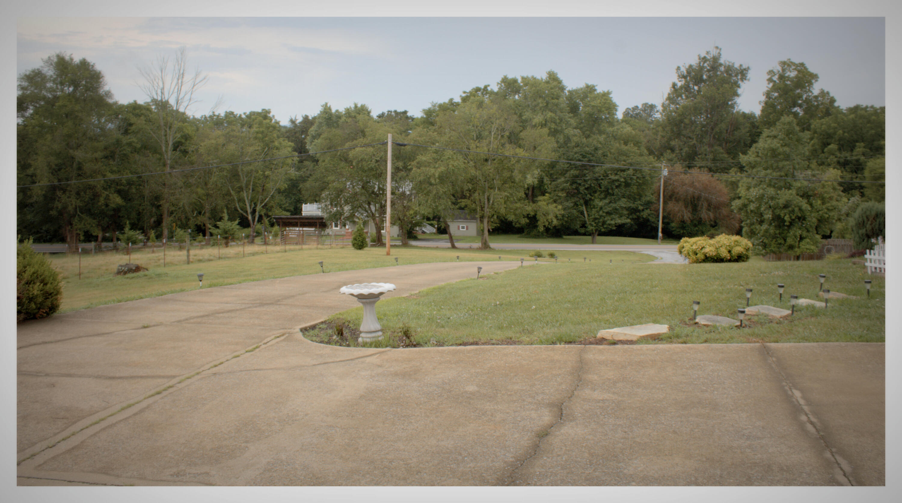 889 Opie Arnold Road Limestone, TN 37681 - Photo 34 of 48 driveway