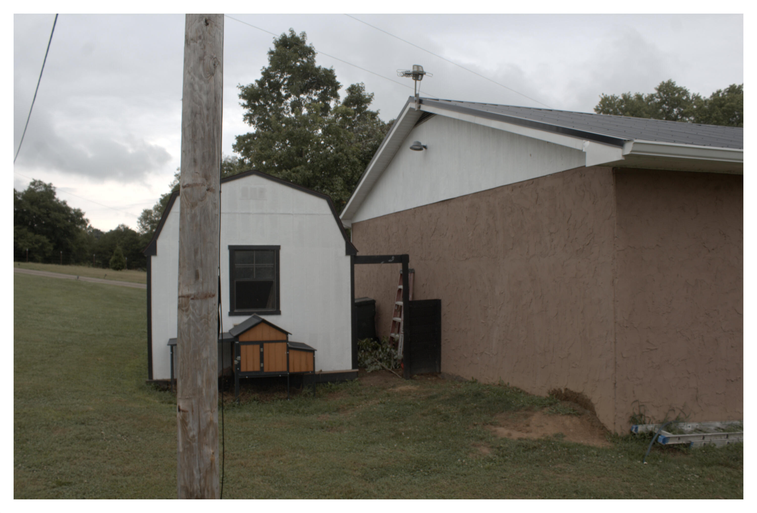 889 Opie Arnold Road Limestone, TN 37681 - Photo 36 of 48 chicken coop