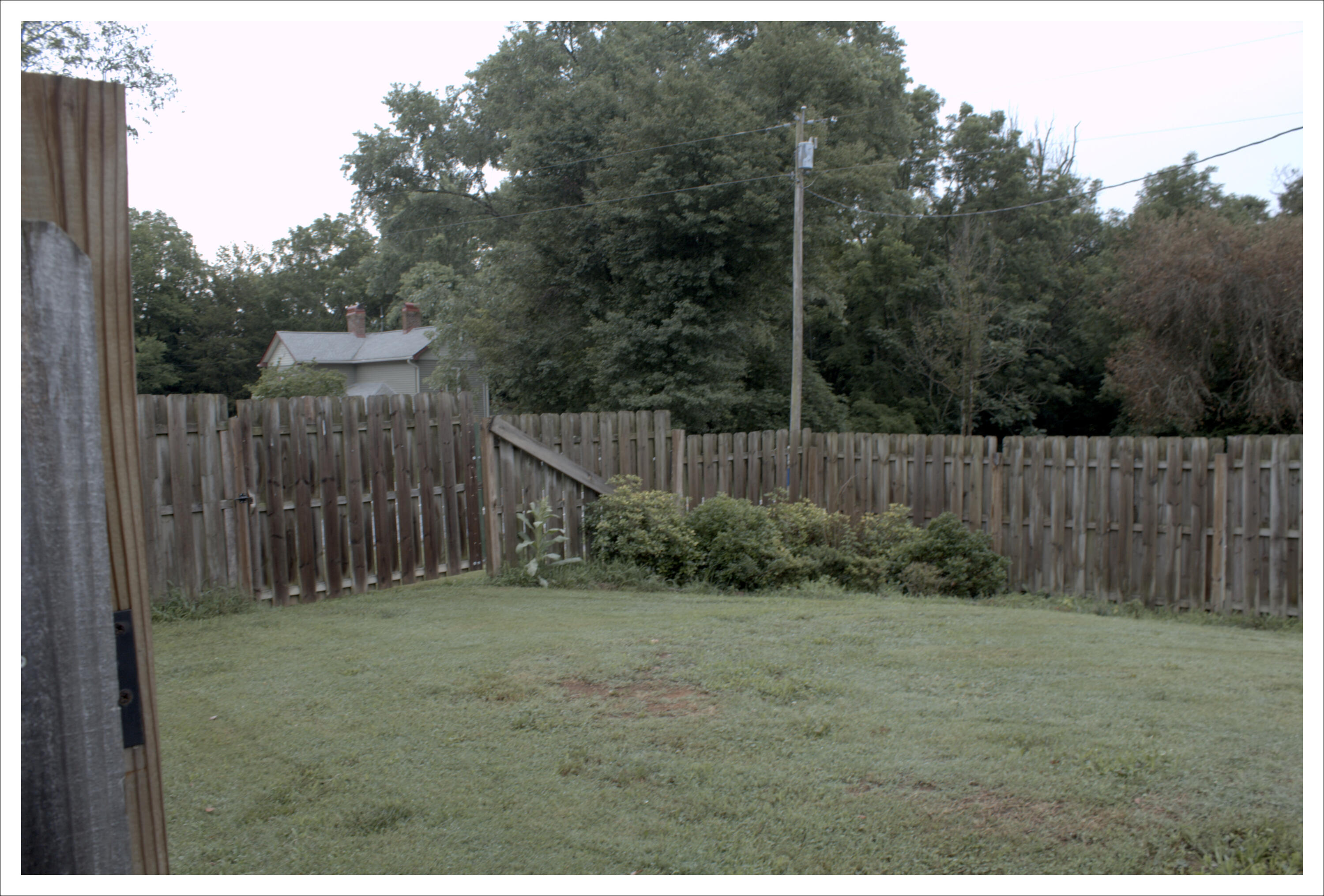 889 Opie Arnold Road Limestone, TN 37681 - Photo 40 of 48 side yard fo guest house