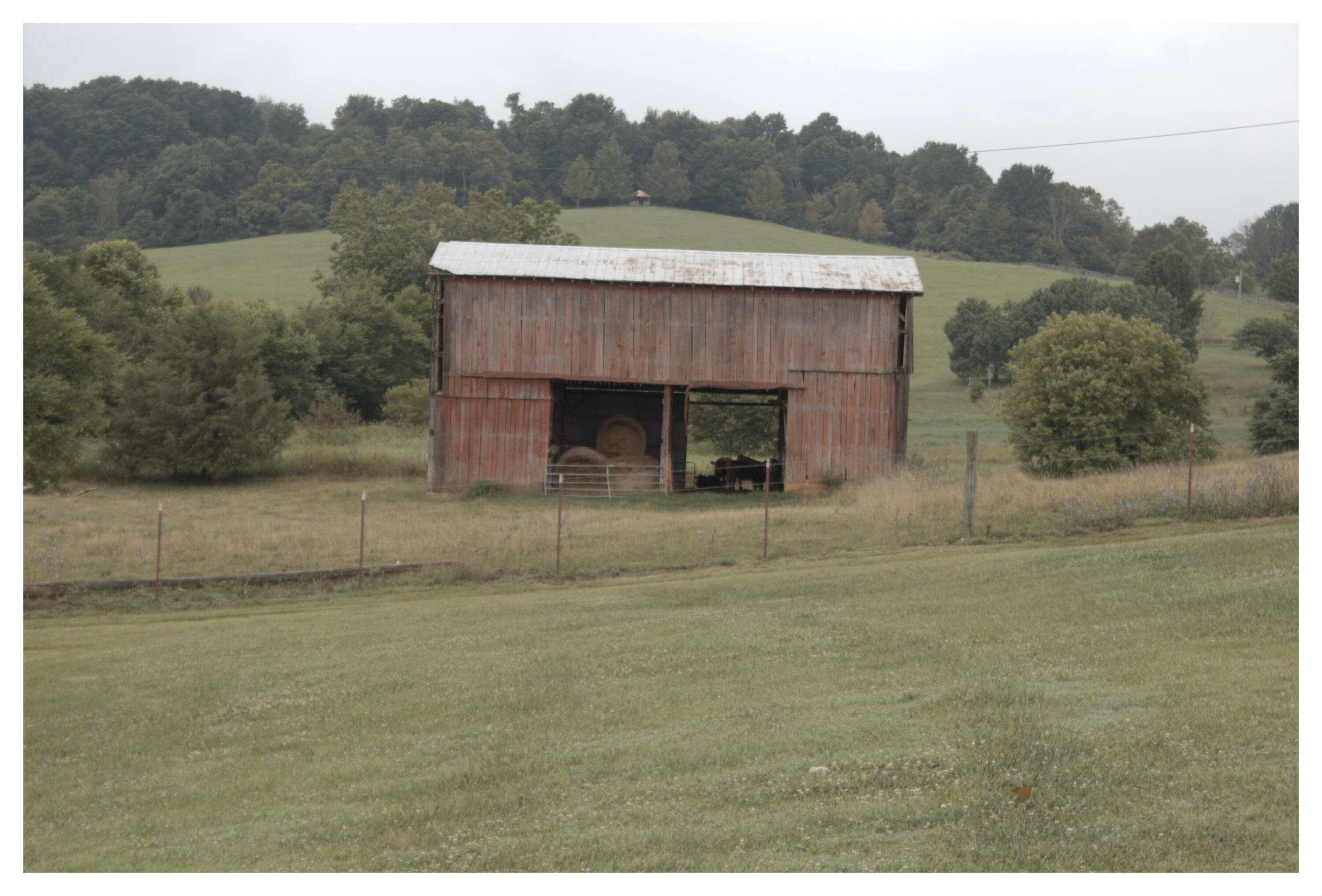889 Opie Arnold Road Limestone, TN 37681 - Photo 42 of 48 barn