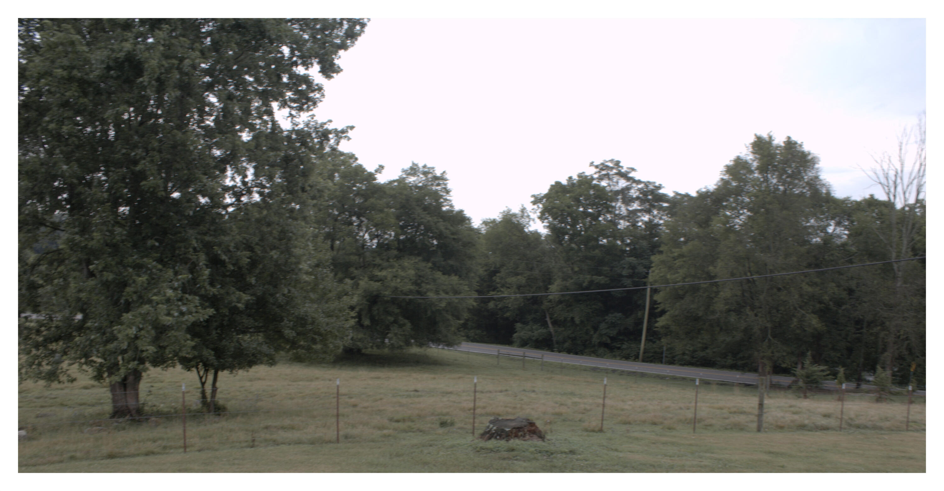 889 Opie Arnold Road Limestone, TN 37681 - Photo 47 of 48 road view