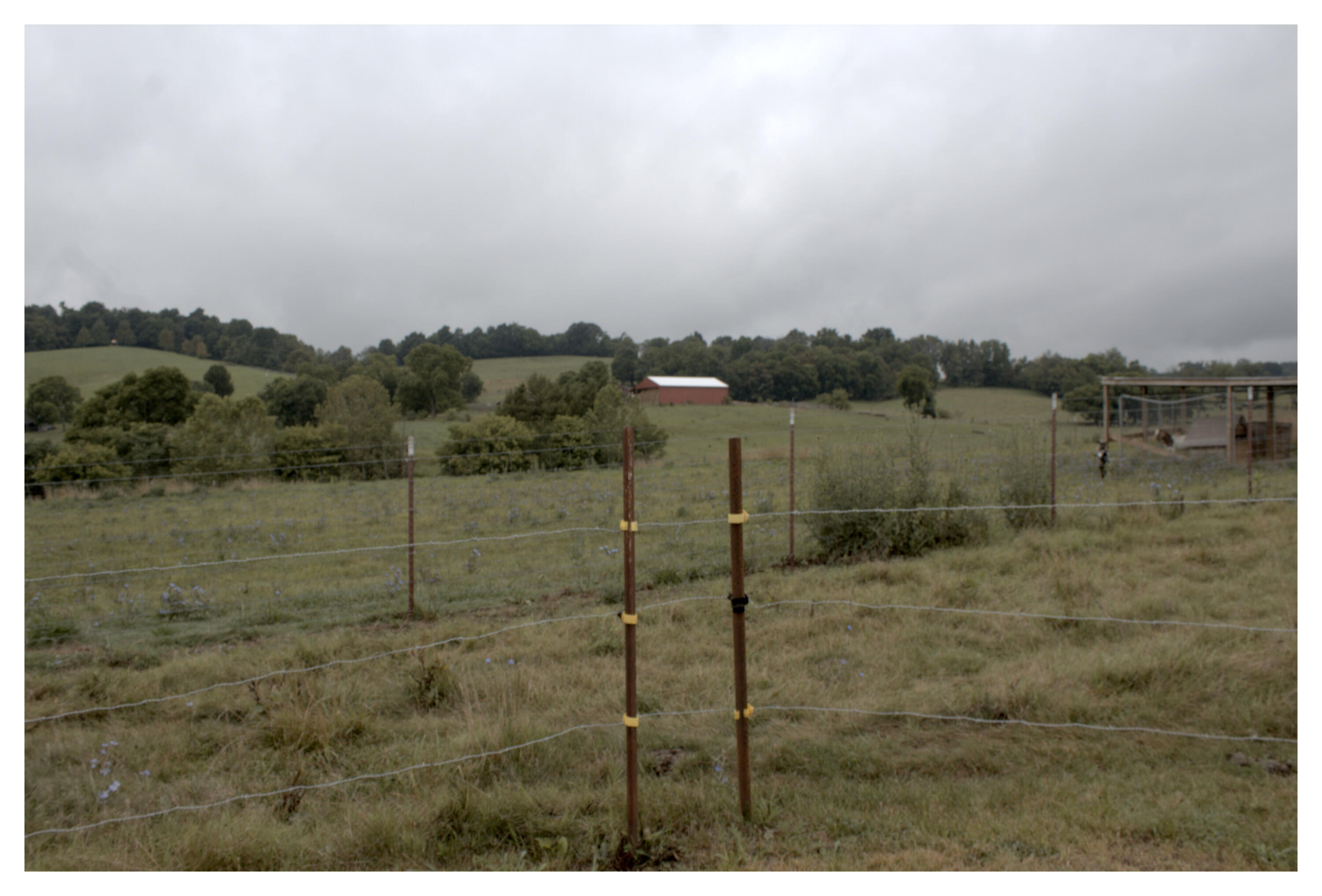 889 Opie Arnold Road Limestone, TN 37681 - Photo 48 of 48 view