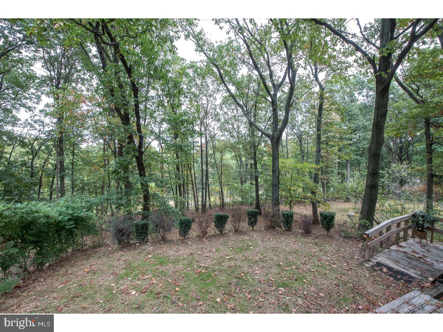 9 Waters Road Malvern, PA 19355 - Photo 21 of 24 Back Yard