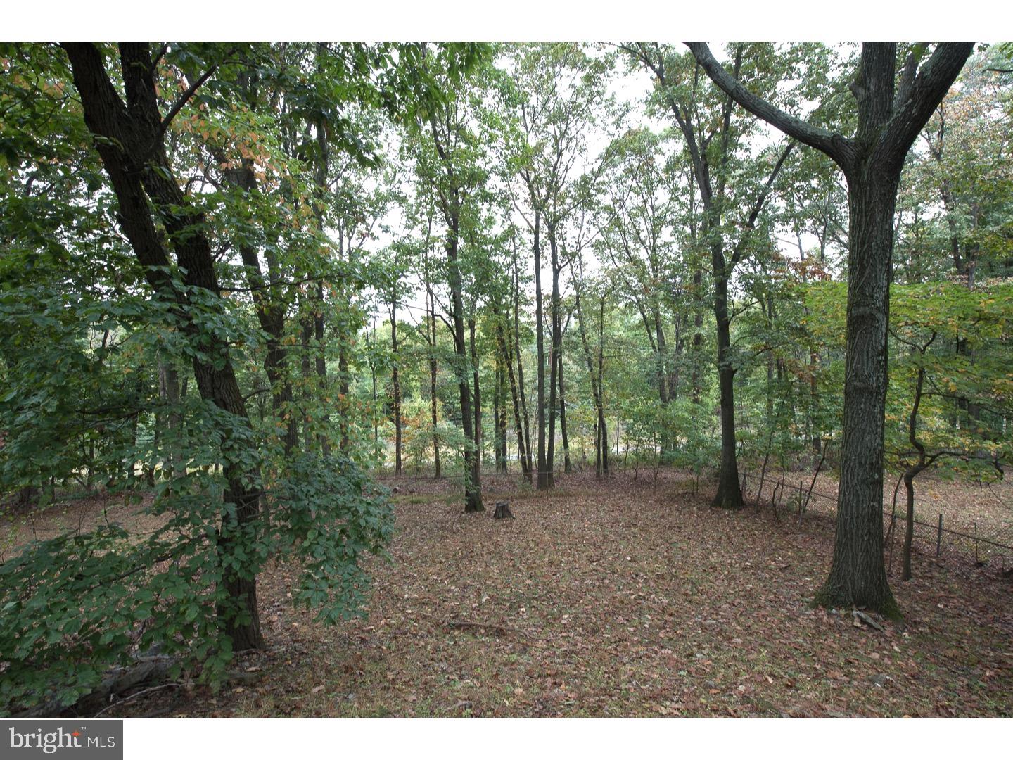 9 Waters Road Malvern, PA 19355 - Photo 22 of 24 Back Yard