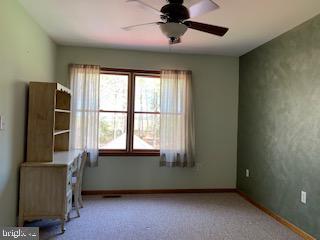 665 Burlington Road Elmer, NJ 08318 - Photo 28 of 34 Gallery Image 28