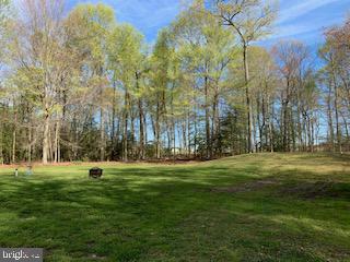 665 Burlington Road Elmer, NJ 08318 - Photo 6 of 34 Gallery Image 6