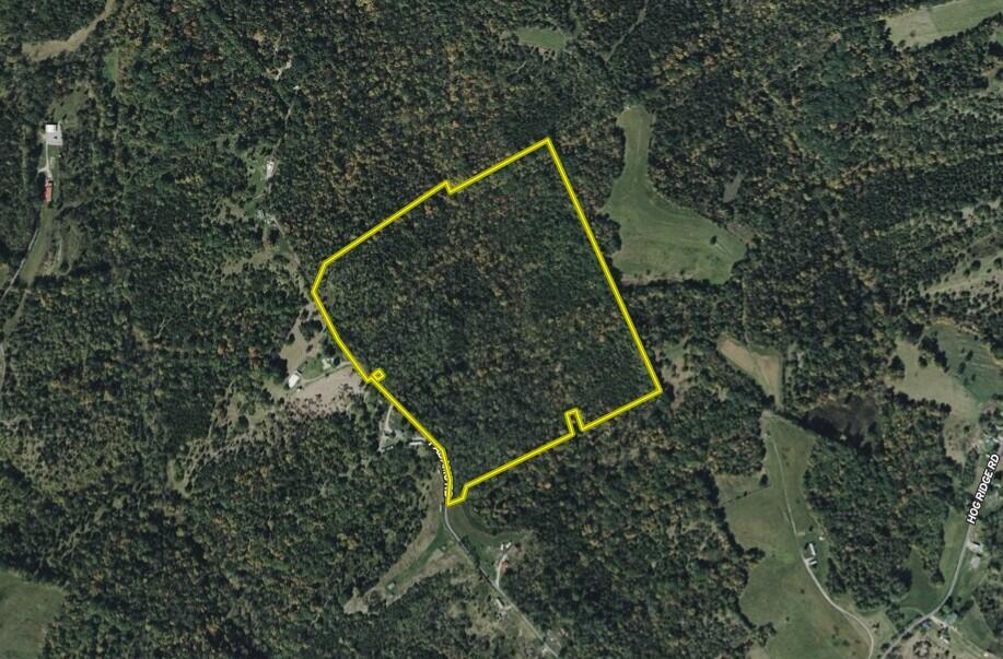 776 Adams Road Williamstown, KY 41097 - Photo 27 of 31 Parcel Boundary
