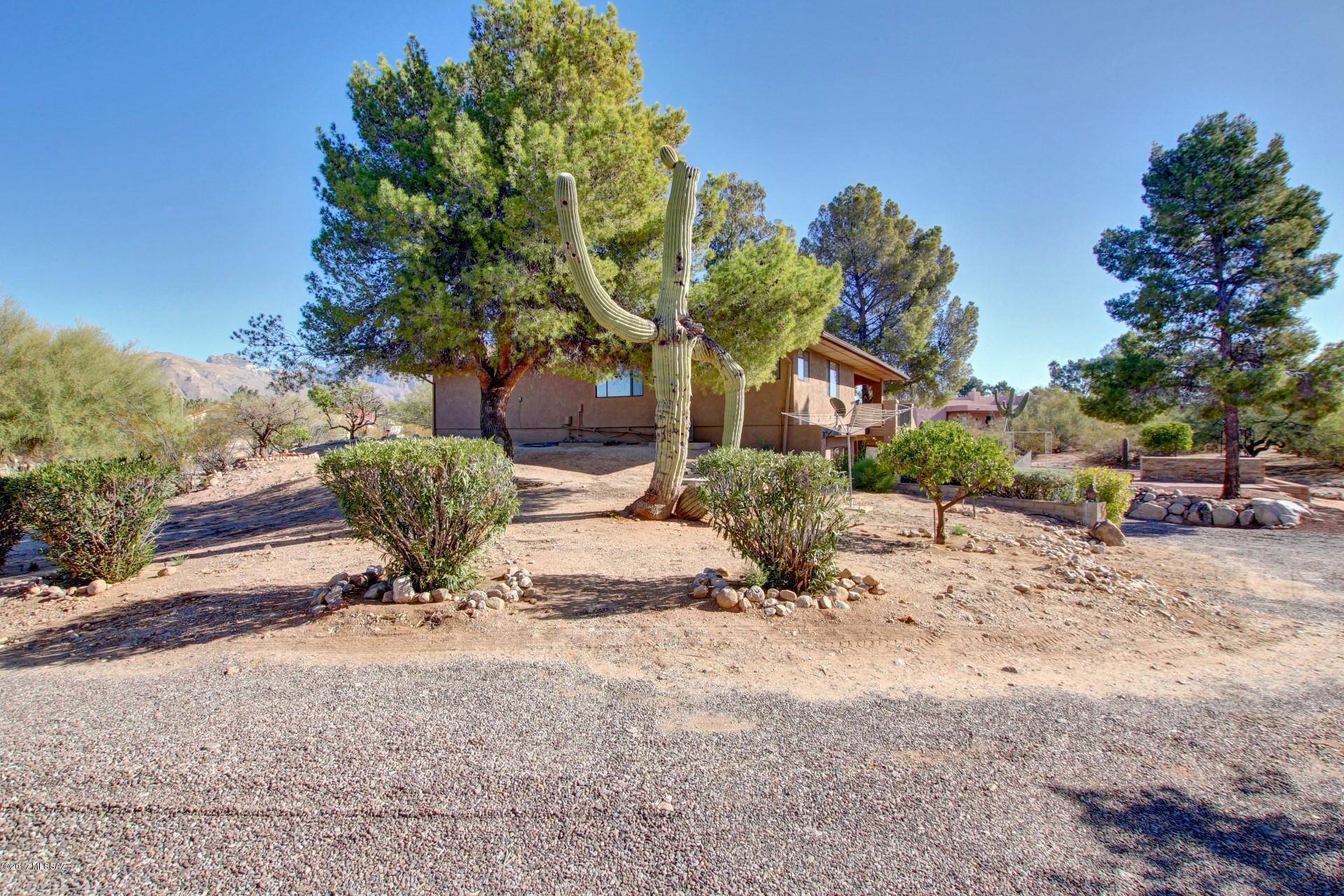 1111 West Panorama Road Tucson, AZ 85704 - Photo 47 of 50 Gallery Image 47