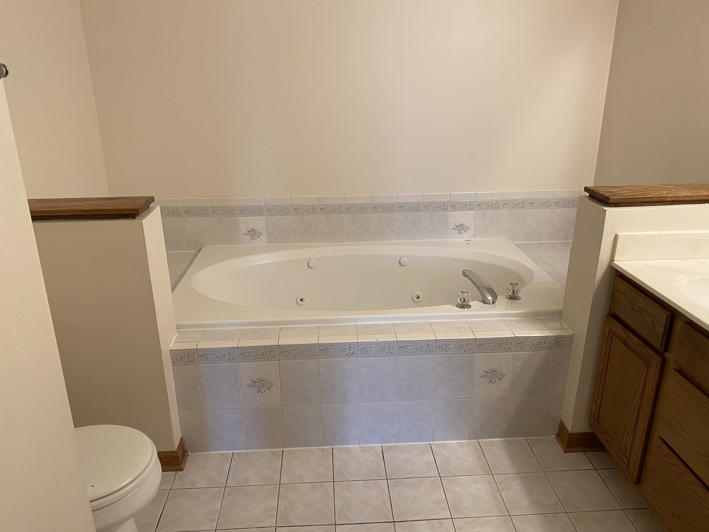 377 Aaron Lane Bolingbrook, IL 60440 - Photo 11 of 21