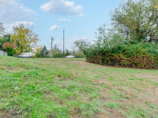 a view of a grassy field with trees in the background