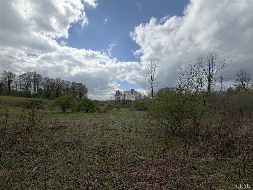 Casler Road Jordanville, NY 13361 - Photo 2 of 3