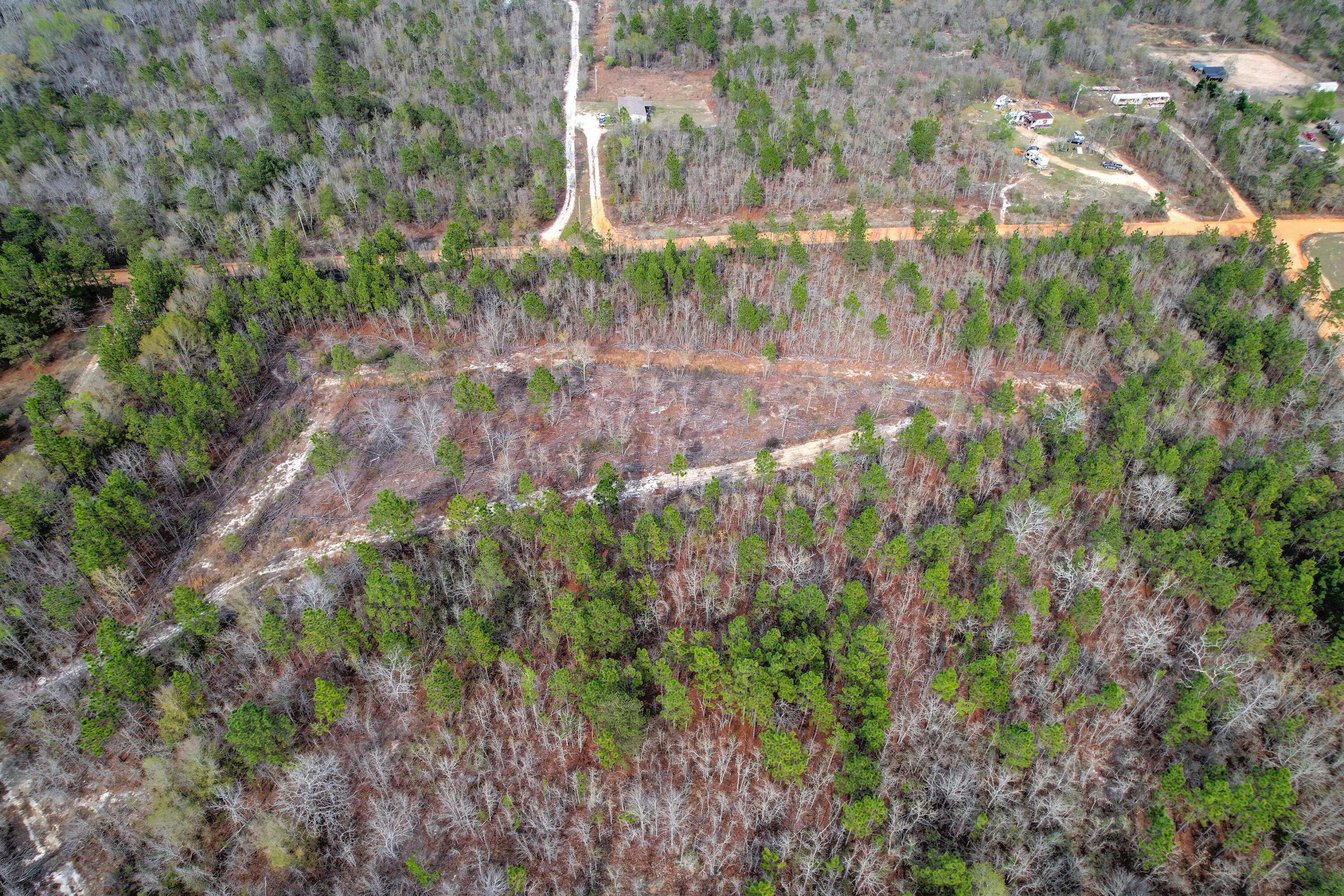 11-acres North 11-acres N Windsor Road Windsor, SC 29856 - Photo 14 of 16