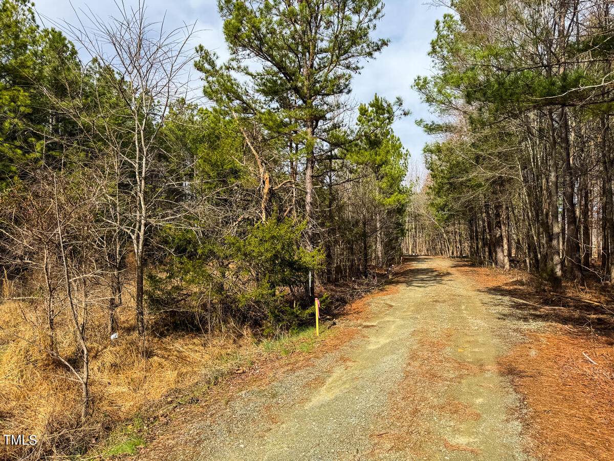 0 Southern High School Road Graham, NC 27253 - Photo 29 of 61 Alamance Co. NC 5.98-Backwoods-The Oaks-