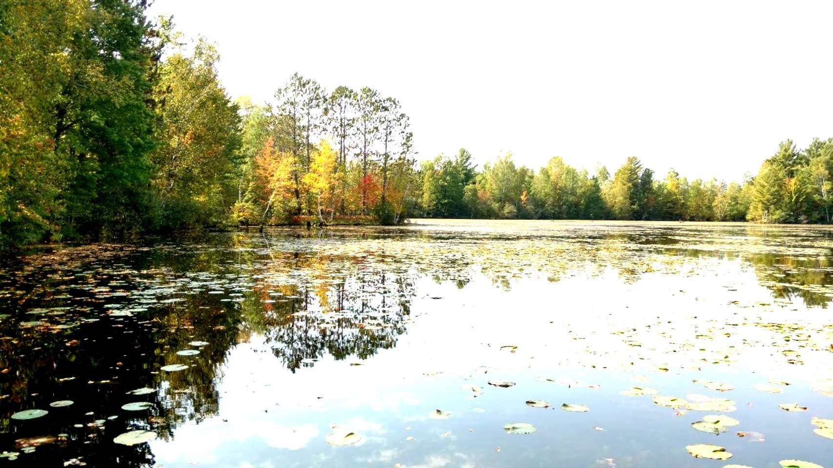 N10227 East Solberg Lake Road Phillips, WI 54555 - Photo 19 of 24 Gallery Image 19