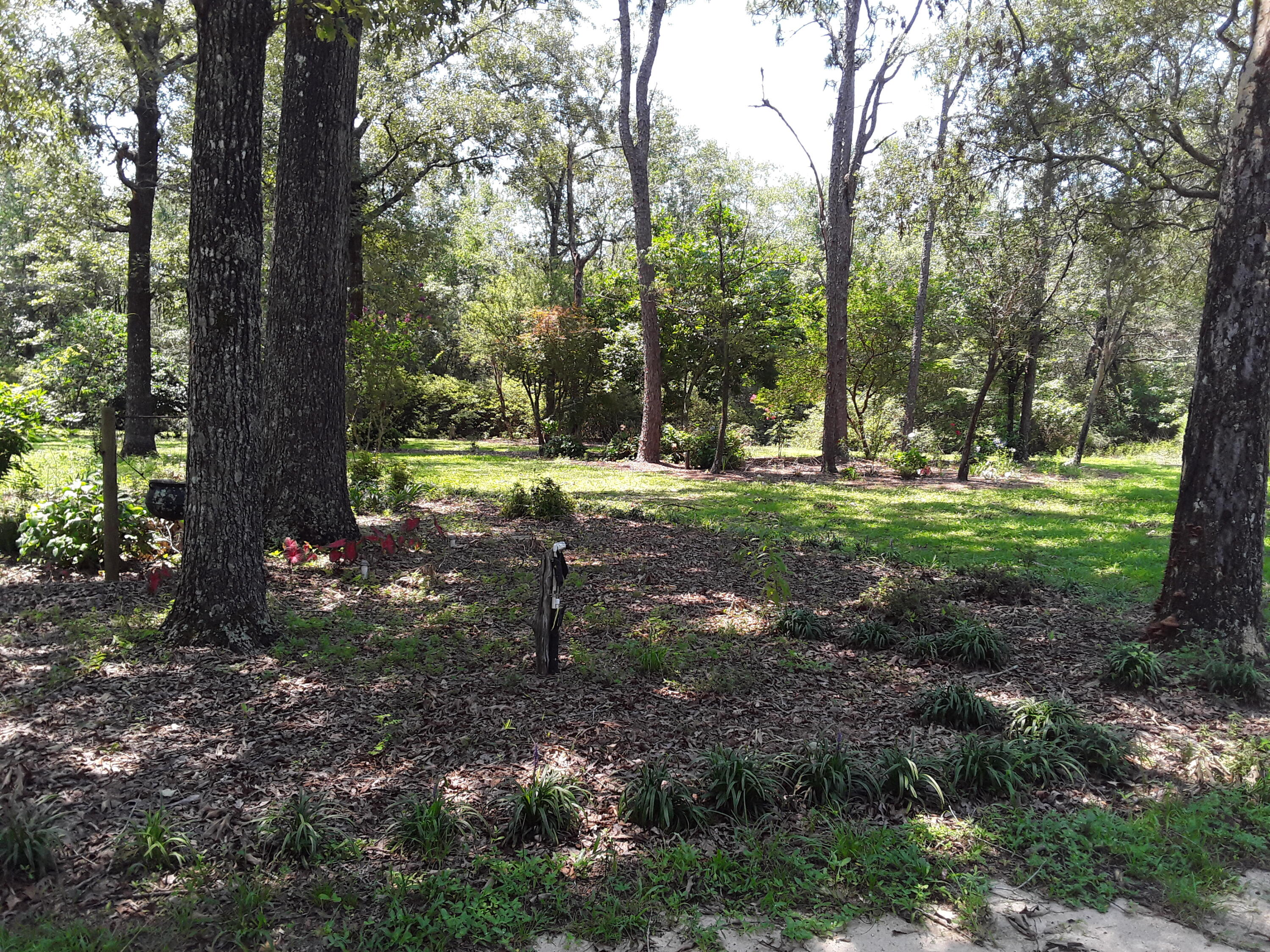 3074 King Lake Road DeFuniak Springs, FL 32433 - Photo 49 of 60 The grounds