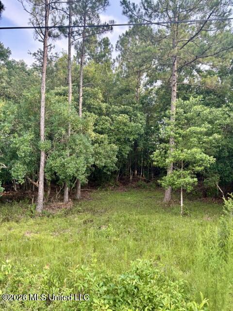 19493 North Shaw Road Saucier, MS 39574 - Photo 4 of 28 IMG_2080