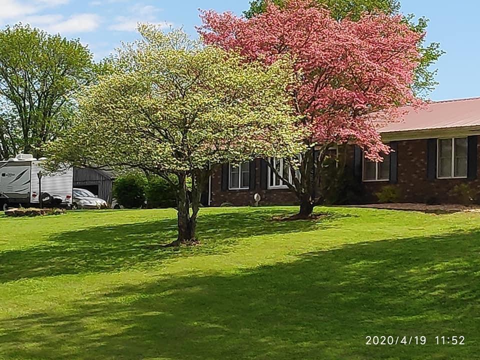 115 3 Springs Road Somerset, KY 42503 - Photo 4 of 15 32