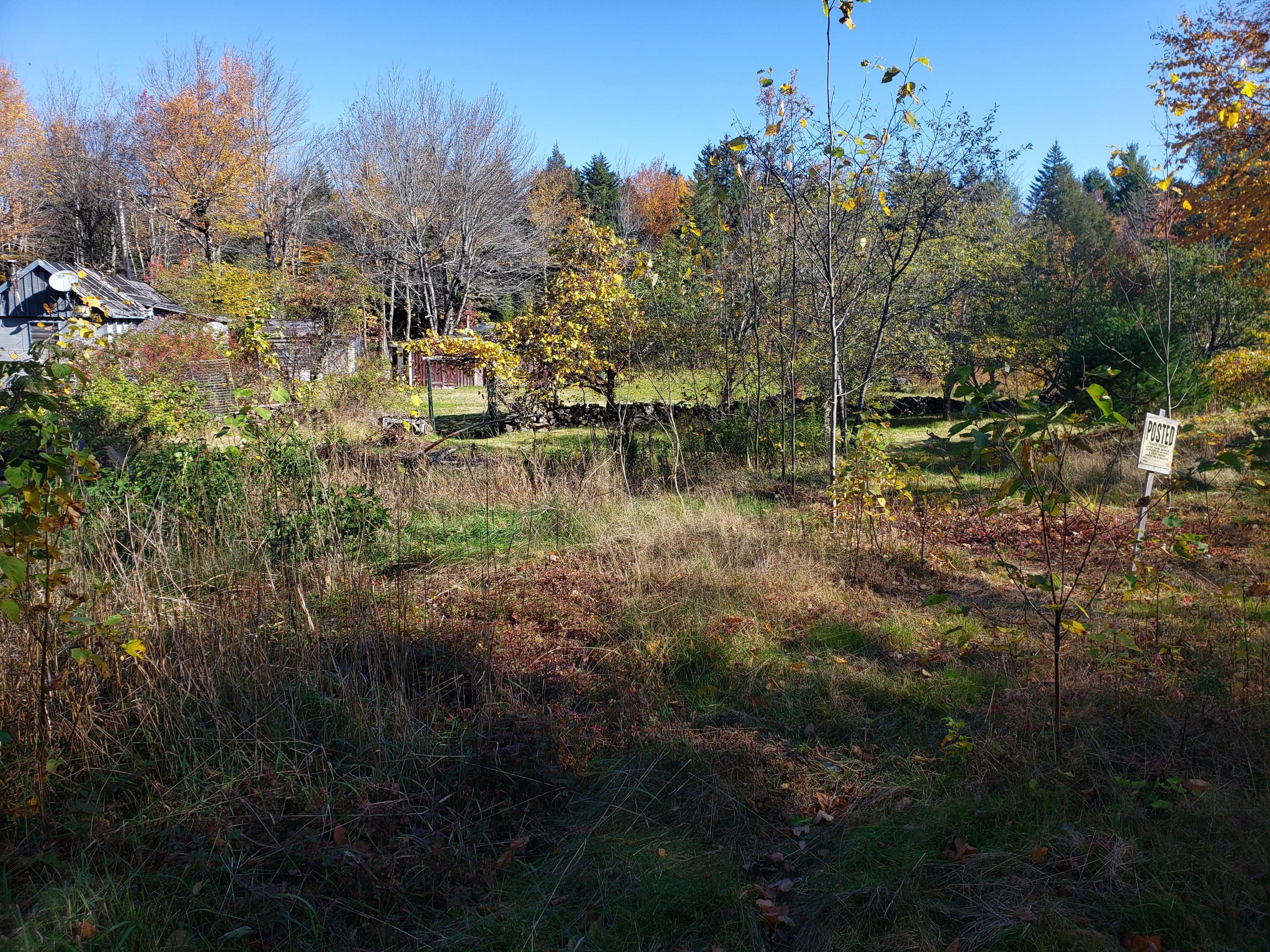 52 Smith Ridge Road Charlotte, ME 04666 - Photo 4 of 11 20191021_122738