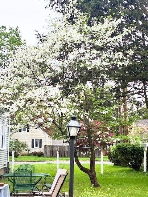 90 Roanoke Road Springfield, MA 01118 - Photo 4 of 19 a house view with a tree in the park