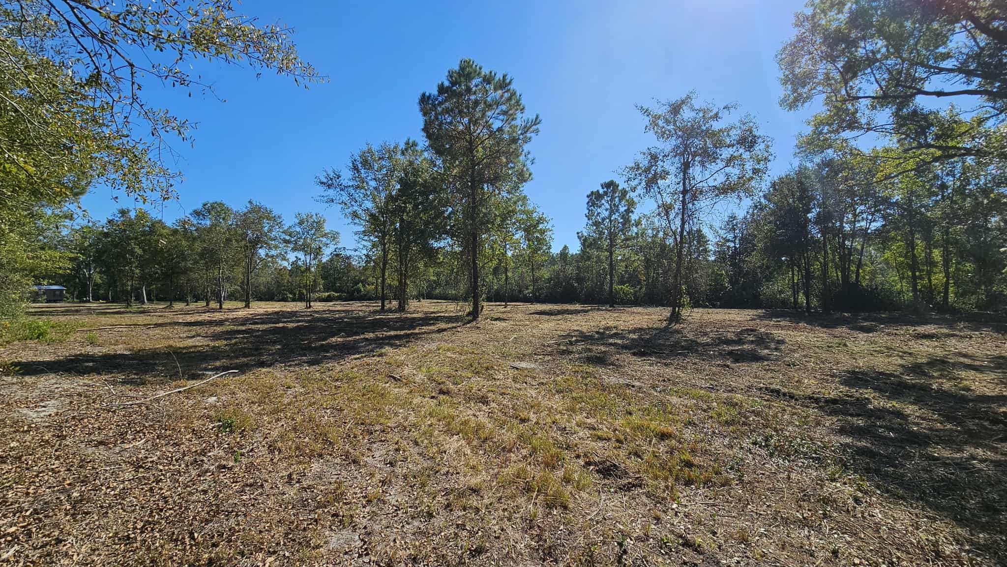 17539 Hodges Road Hilliard, FL 32046 - Photo 11 of 19