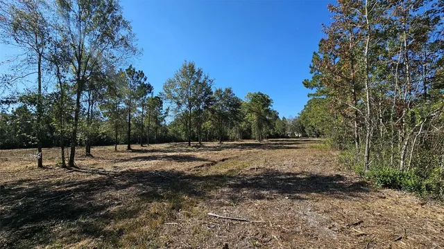$350,000 | 17539 Hodges Road, Hilliard, FL 32046