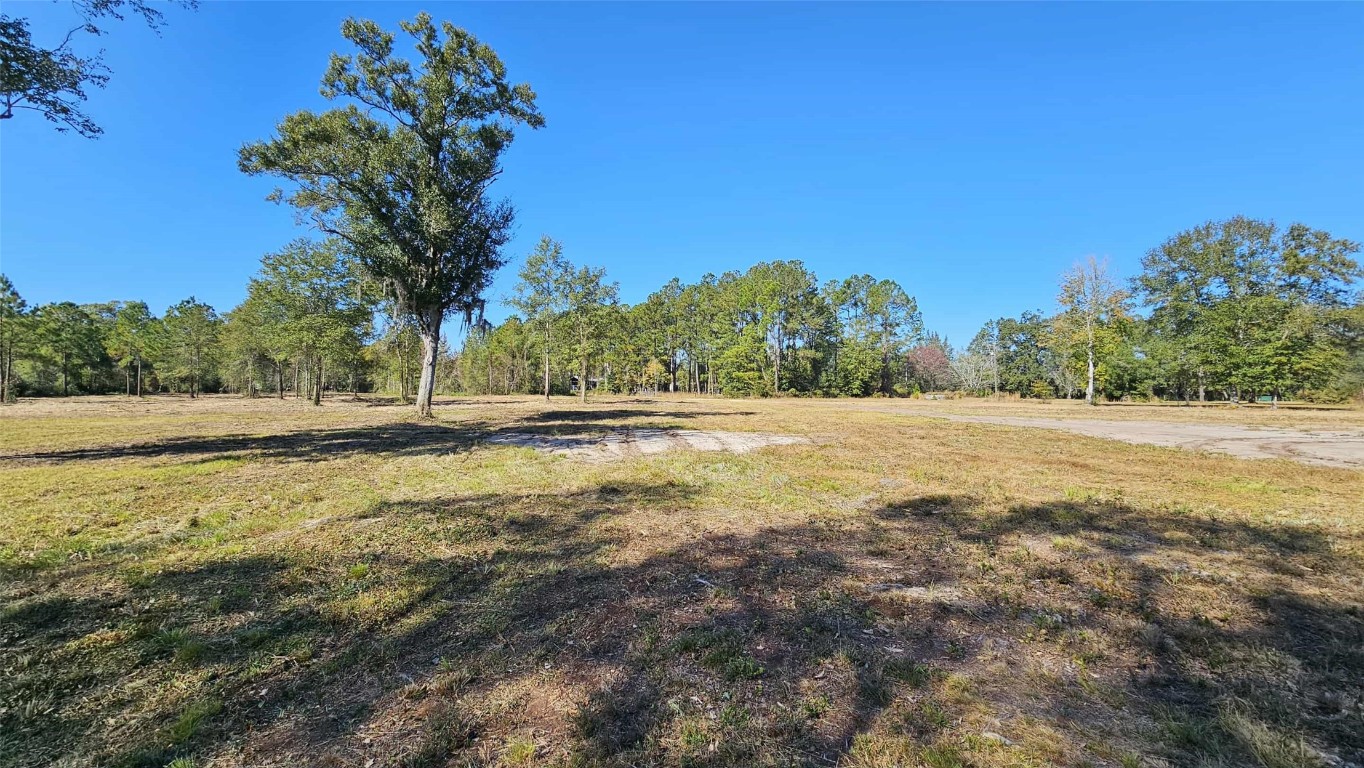 17539 Hodges Road Hilliard, FL 32046 - Photo 19 of 62 a view of a yard with a house