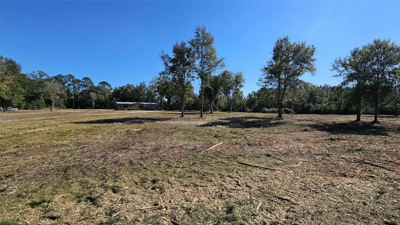 17539 Hodges Road Hilliard, FL 32046 - Photo 22 of 62 a view of outdoor space with trees