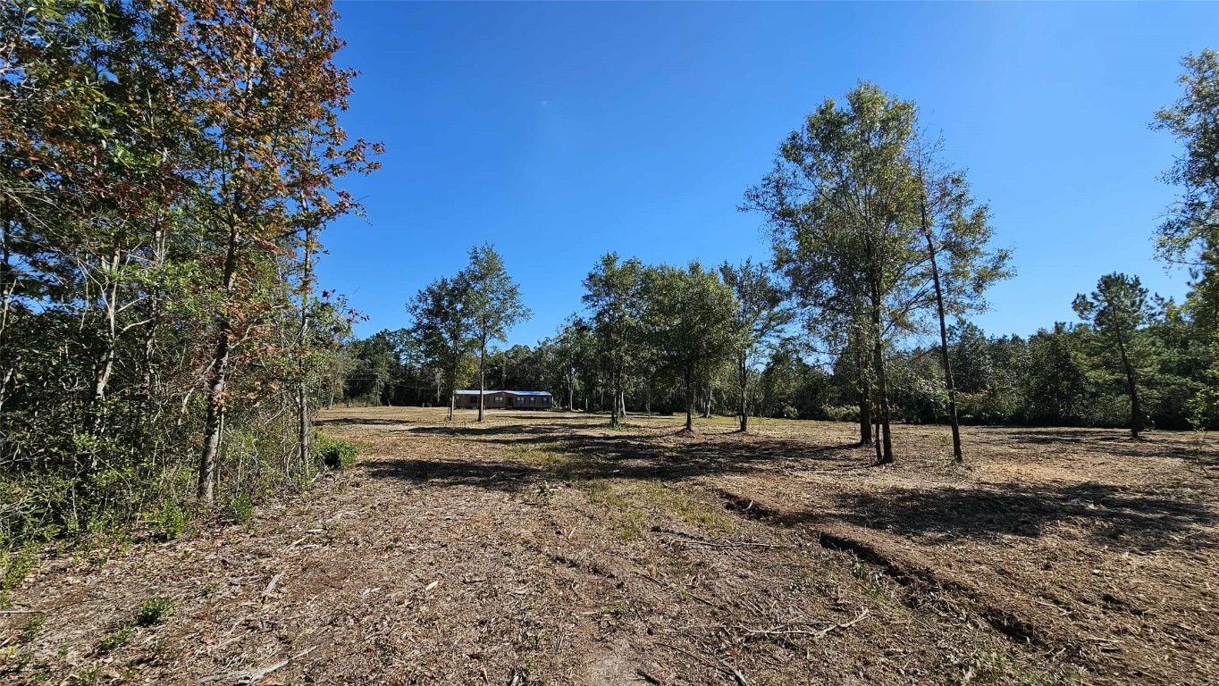 17539 Hodges Road Hilliard, FL 32046 - Photo 23 of 62 a view of a yard with a tree