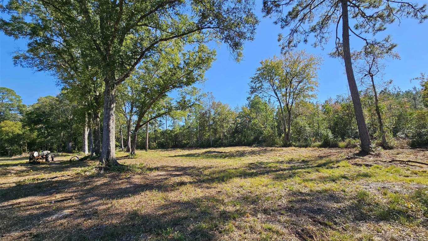 17539 Hodges Road Hilliard, FL 32046 - Photo 28 of 62 a view of outdoor space with trees