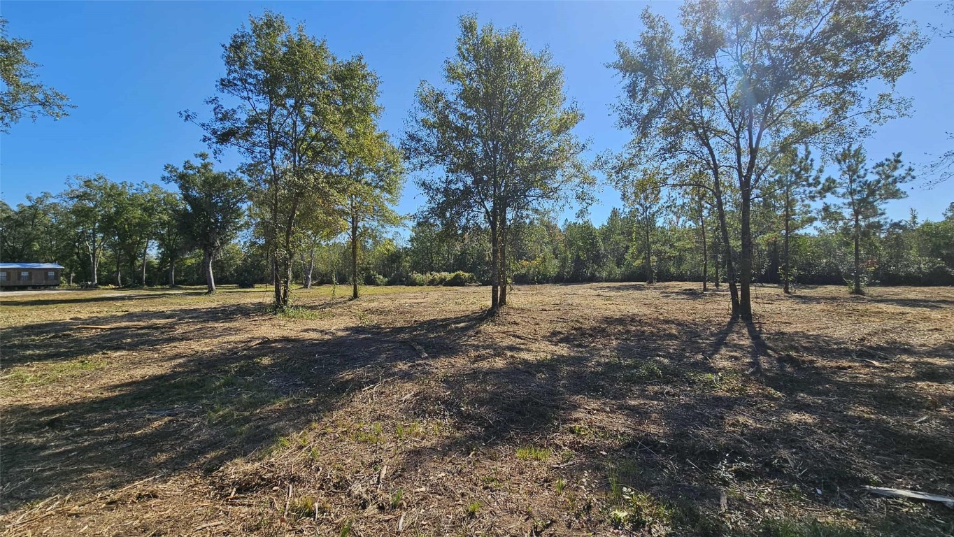 17539 Hodges Road Hilliard, FL 32046 - Photo 29 of 62