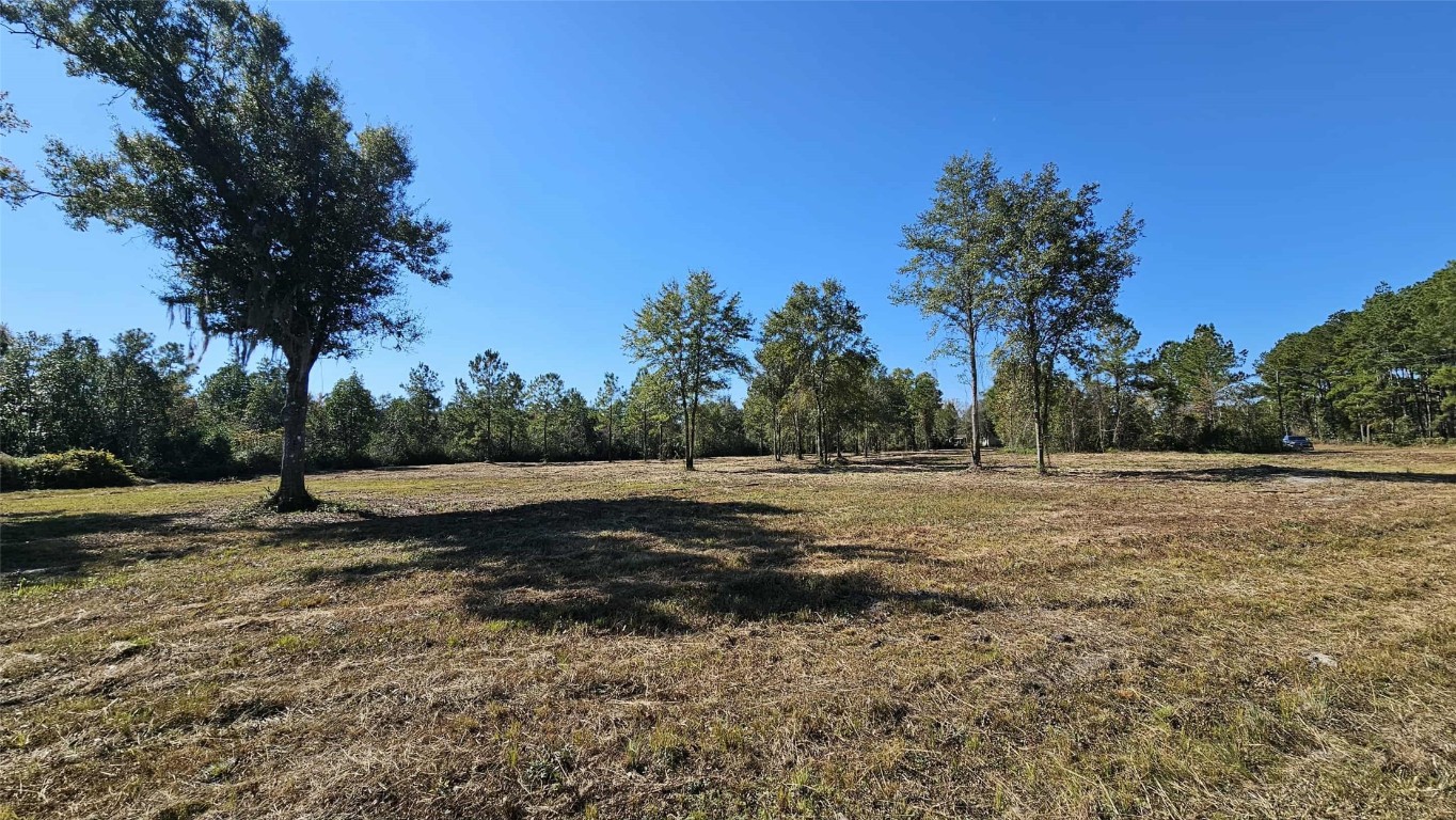 17539 Hodges Road Hilliard, FL 32046 - Photo 33 of 62 a view of a field with trees