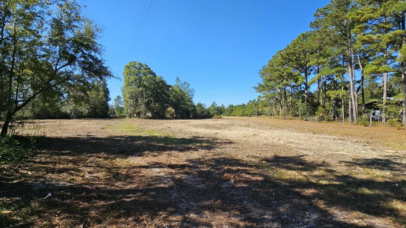 17539 Hodges Road Hilliard, FL 32046 - Photo 48 of 62 a view of dirt yard with a large tree