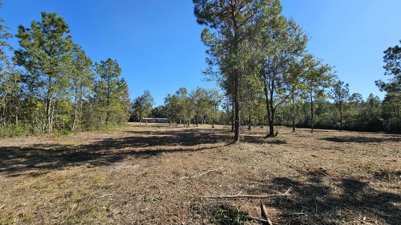 17539 Hodges Road Hilliard, FL 32046 - Photo 50 of 62 a view of a yard with trees