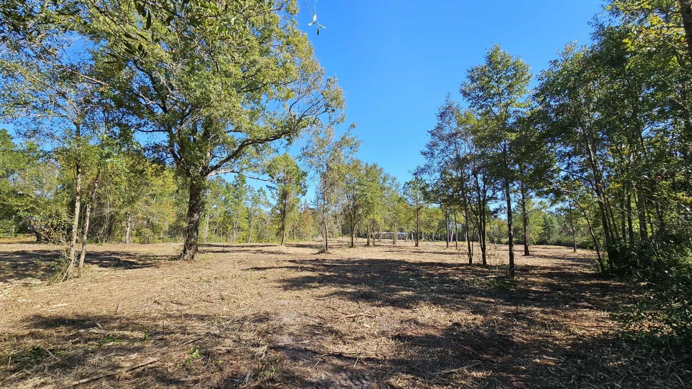 17539 Hodges Road Hilliard, FL 32046 - Photo 5 of 62