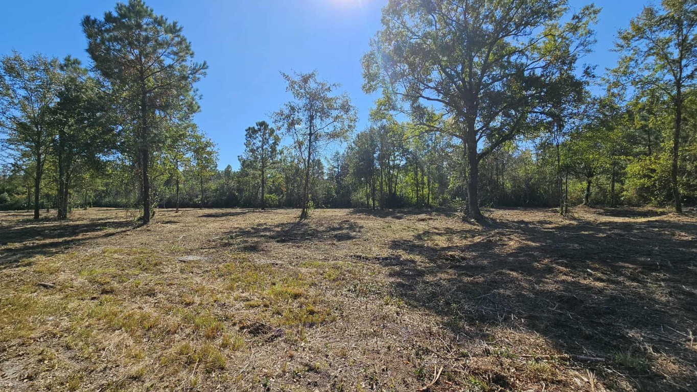 17539 Hodges Road Hilliard, FL 32046 - Photo 55 of 62