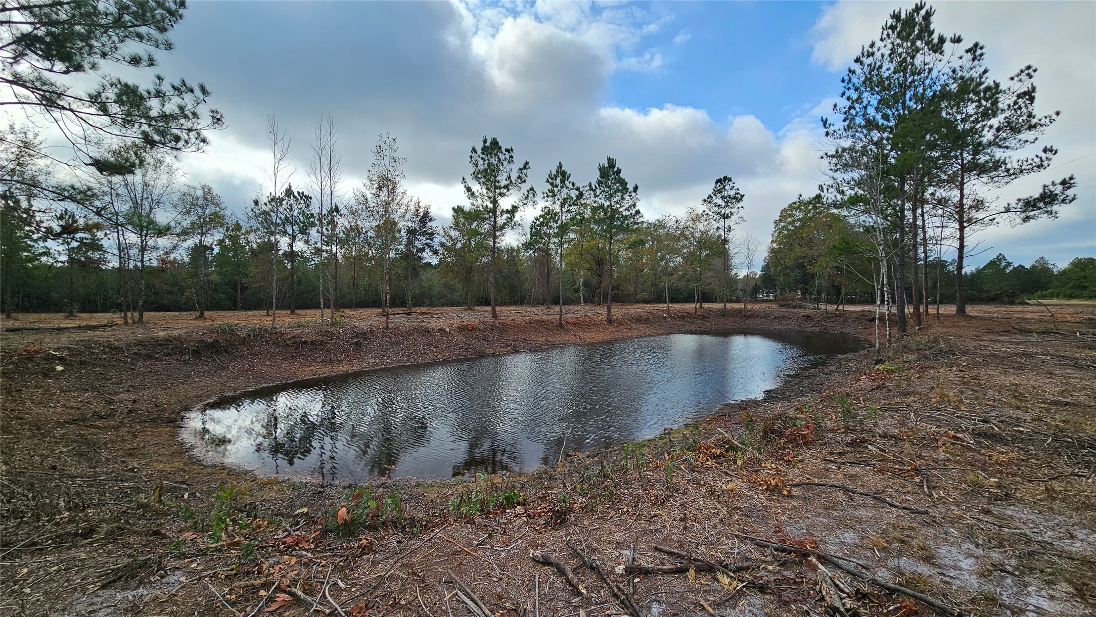 17539 Hodges Road Hilliard, FL 32046 - Photo 7 of 19 a view of a lake with large trees