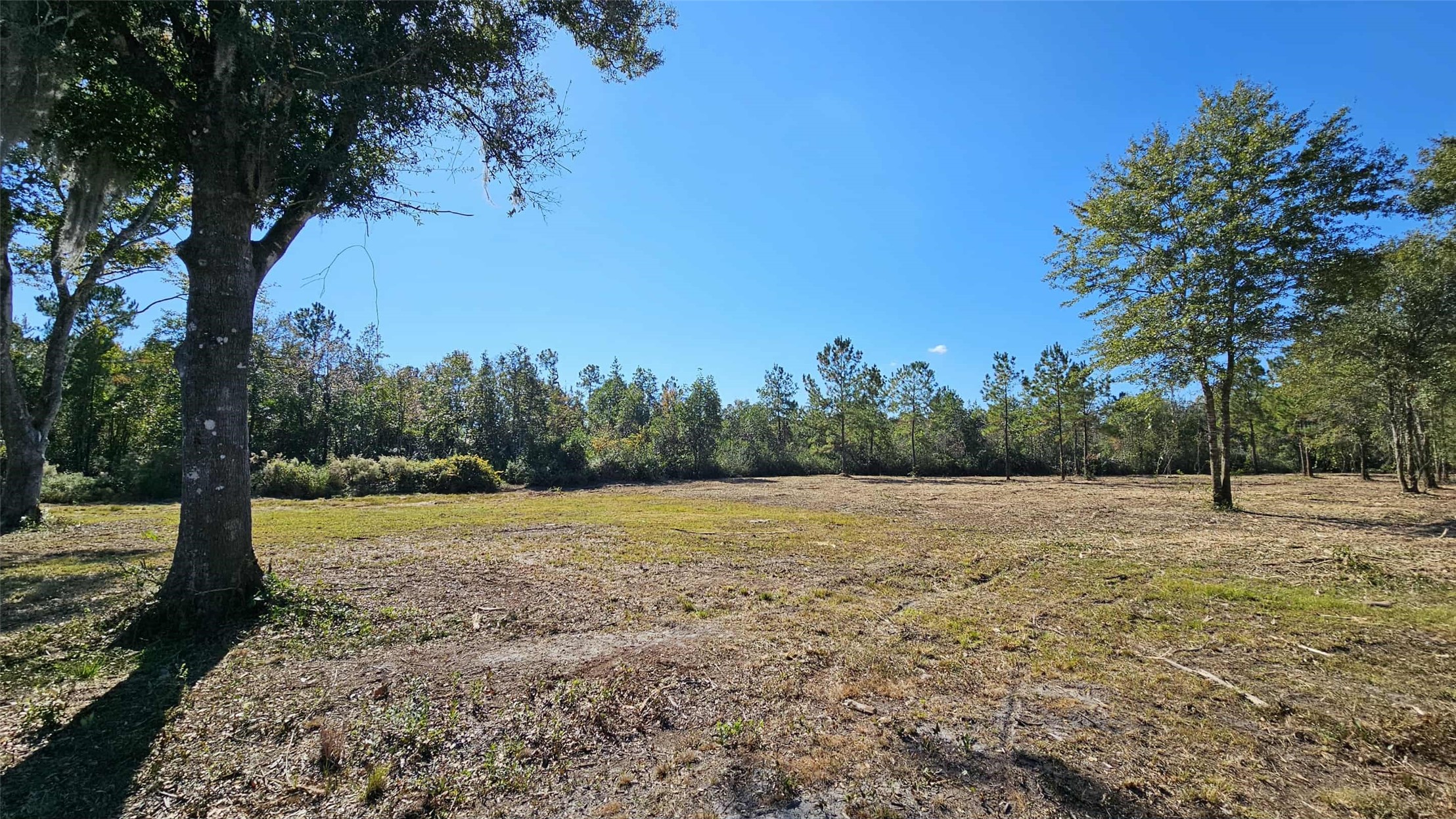 17539 Hodges Road Hilliard, FL 32046 - Photo 8 of 19